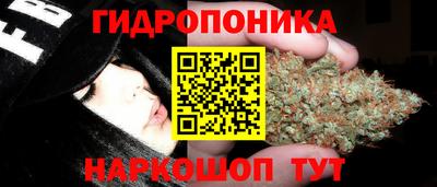 бошки Будённовск