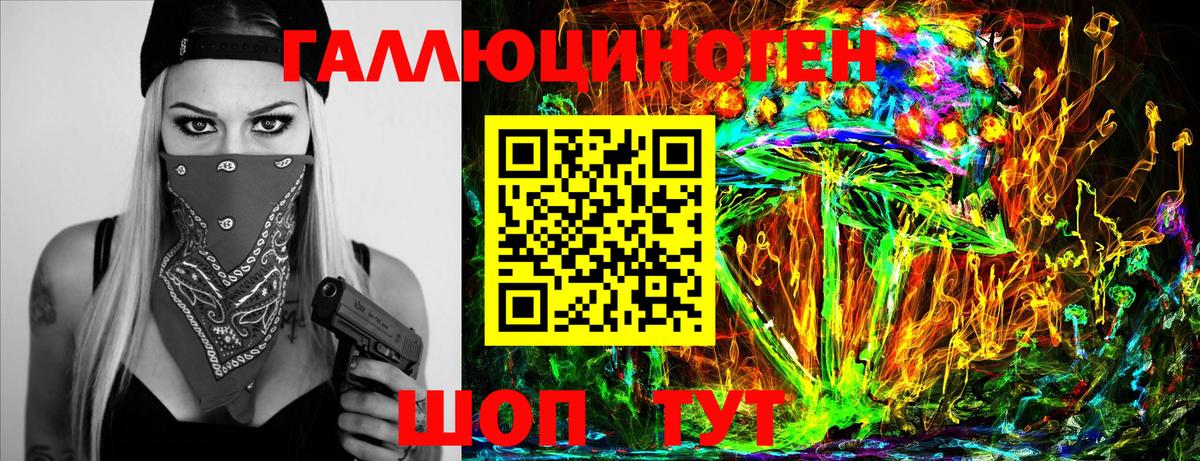 как найти наркотики  Псилоцибиновые грибы Psilocybine cubensis  Вход с VPN  Нововоронеж 